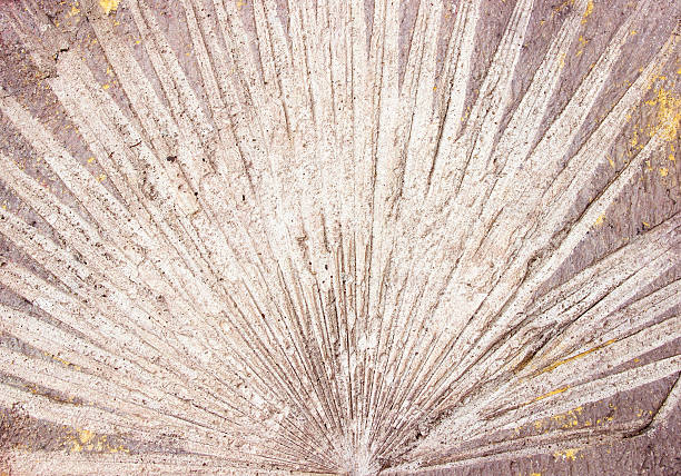 Marks  of leaf on the concrete pavement.