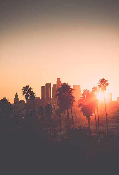 istock Downtown Los Angeles photographed at sunset 502058369