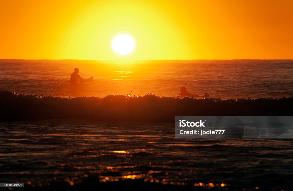 Surf and sun Sunrise and surfing Adult Stock Photo