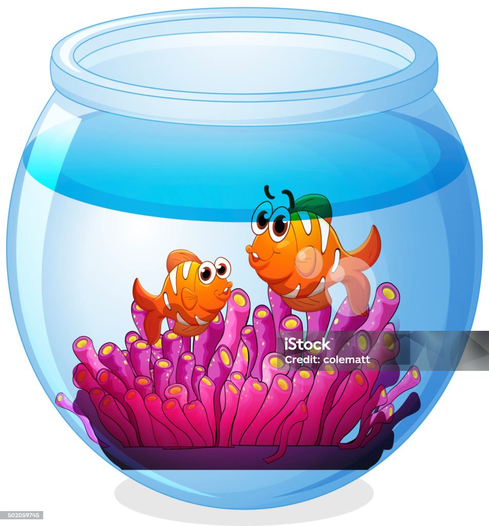 An aquarium with two orange fishes Illustration of an aquarium with two orange fishes on a white background Animal stock vector