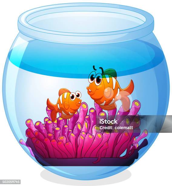 An Aquarium With Two Orange Fishes Stock Illustration - Download Image Now - Animal, Backgrounds, Blue