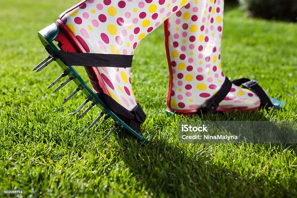 Woman wearing spiked lawn revitalizing aerating shoes, gardening Woman wearing spiked lawn revitalizing aerating shoes, gardening  Lawn Stock Photo