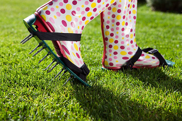 Woman wearing spiked lawn revitalizing aerating shoes, gardening stock photo