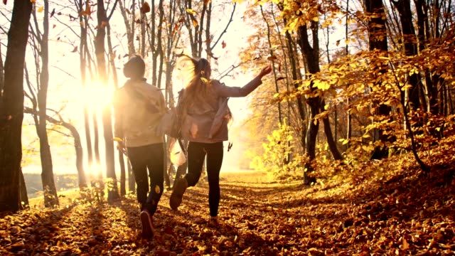 Slow motion camera stabilization shot of a young couple having fun scattering leaves over themselves while they running through autumn forest. Shot was taken in the late afternoon sun. Time warp shot.
