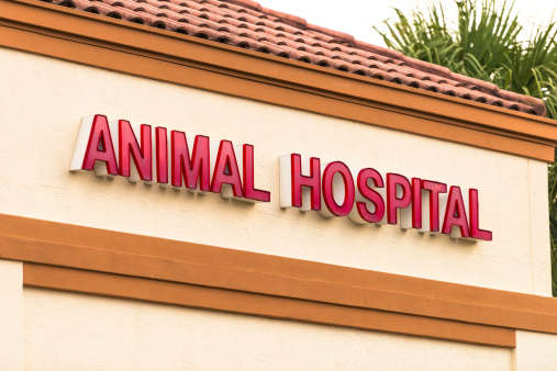 Animal Hospital Sign