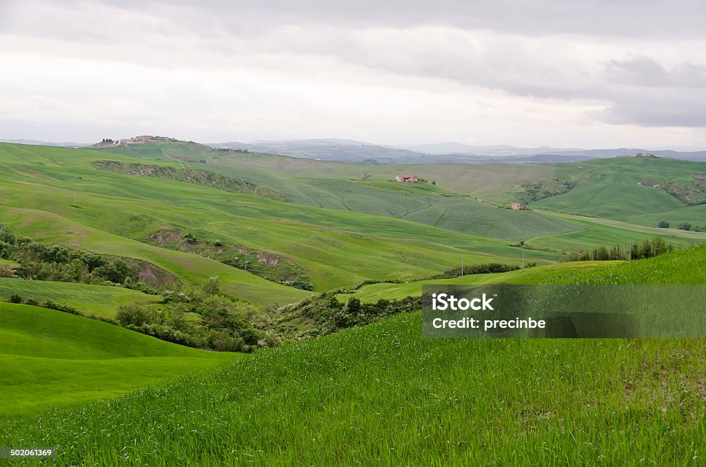 Tuscany - Photo de Agriculture libre de droits