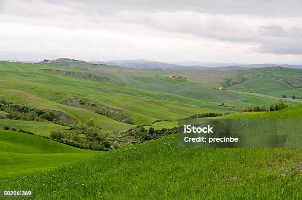 タスカニー - イタリアのストックフォトや画像を多数ご用意 - イタリア, イトスギ, キャンティ地方