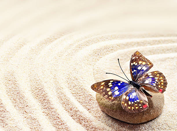 istock Butterfly on a rock of sand with circles 502062916