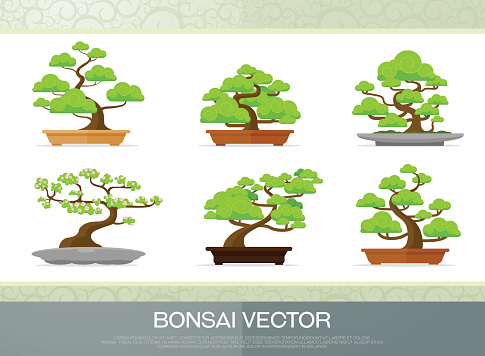 set of bonsai plant  in the pot illustration vector flat style