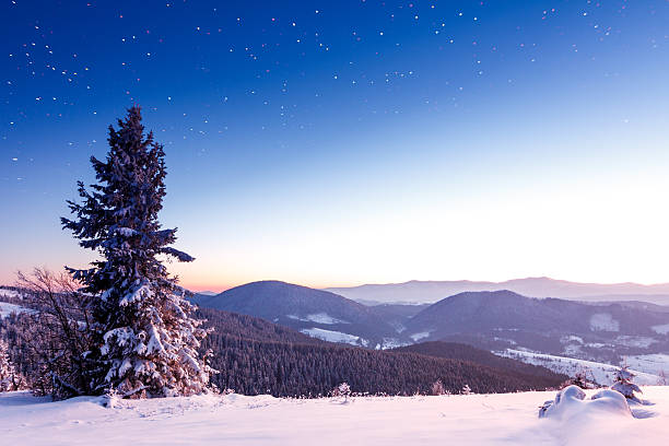 montanhas de inverno paisagem. - dragobrat imagens e fotografias de stock