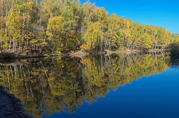 istock Reflection of trees in the pond. 502064332