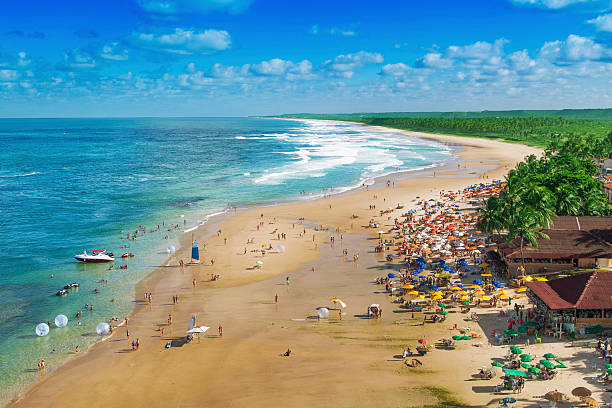 maceió, nordöstlich von brasilien - tree large group of people sand sunbathing stock-fotos und bilder