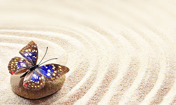 istock Butterfly on a rock of sand with circles 502067244