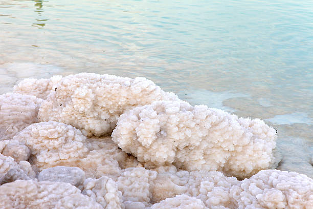 istock Dead sea - Typical accumulation of salt and minerals 502067390
