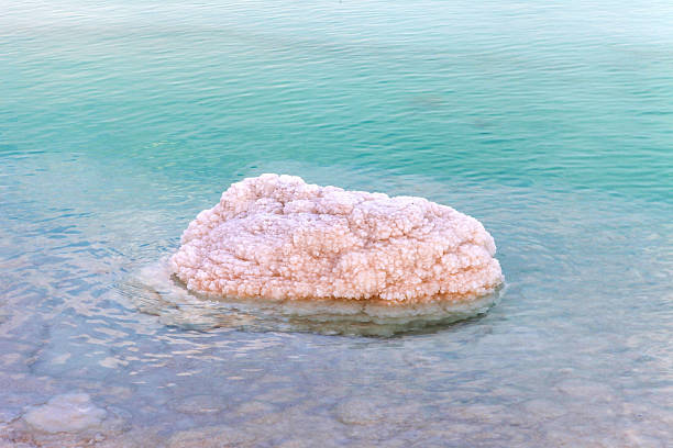 istock Dead sea - Typical accumulation of salt and minerals 502067826