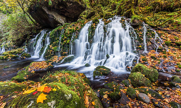 istock beautiful waterfall in forest, autumn landscape 502068264
