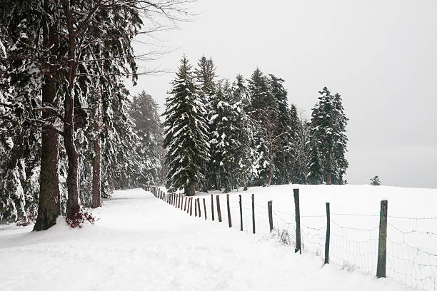 paysage sous la neige - footpath european alps fence woods photos et images de collection