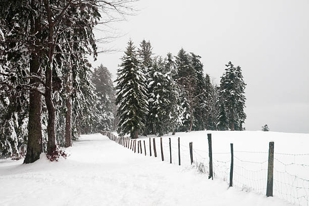 paysage-sous-la neige - footpath european alps fence woods imagens e fotografias de stock