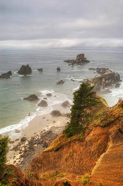 istock Morning on the beautiful Oregon Coast 502075692