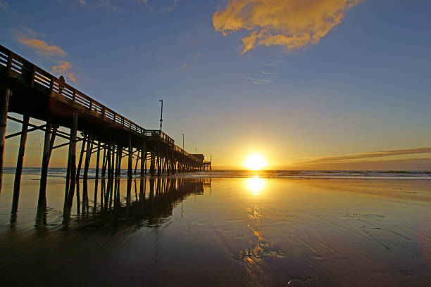 istock Pier sunset at the beach 502078216
