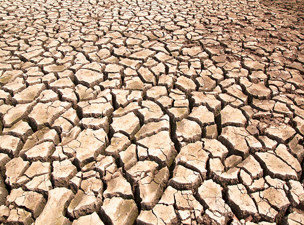istock Drought breaks ground fissures 502088515
