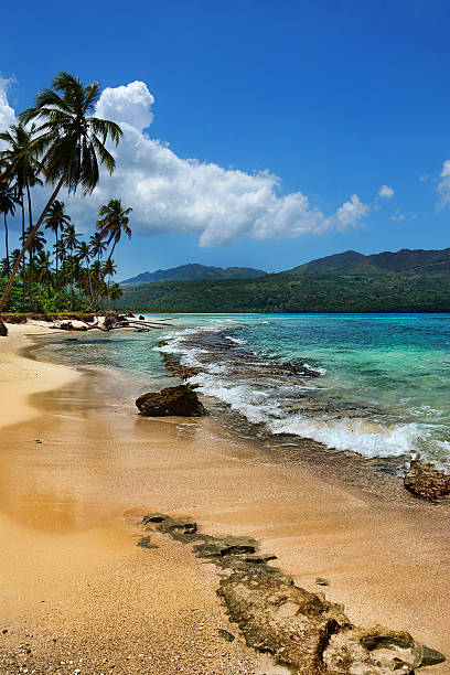 istock Virgin beach, Samana peninsula, Dominican Republic , playa rincon 502089387