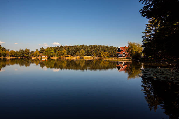 istock Blue Lake Scene in Autumn 502089835