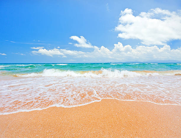 istock beach and tropical sea 502090423