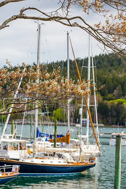 Photo of Acadia National Park. Maine.