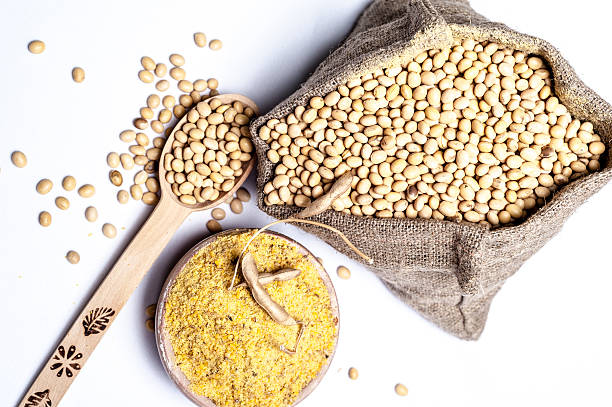 istock ground and beans of soy isolated 502091770