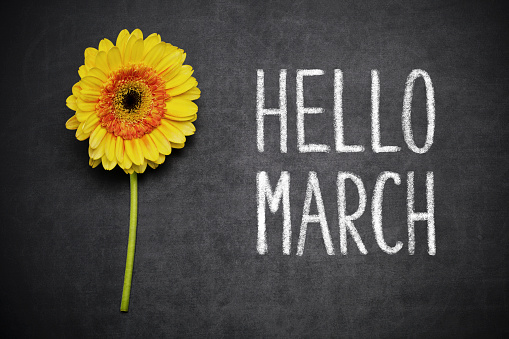 Gerbera and text ,,Hello March