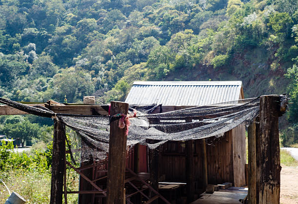 In legno shack - foto stock