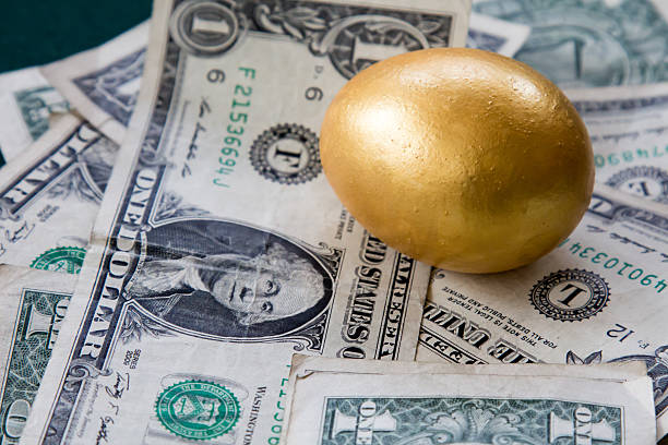 istock Close up of a single gold egg on dollars 502092886