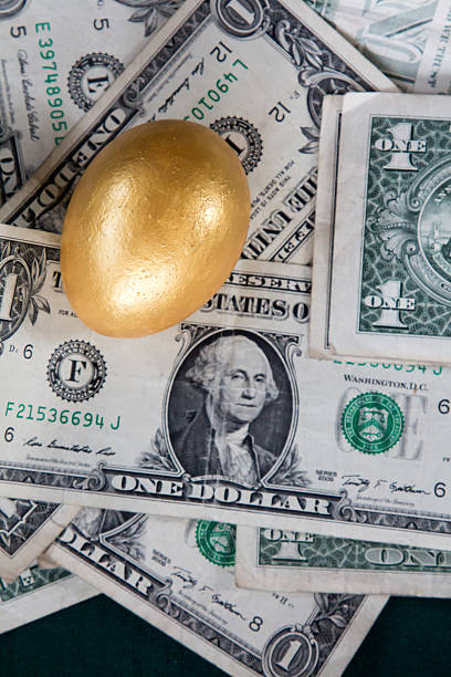 istock Single gold nest egg on US dollars 502093114