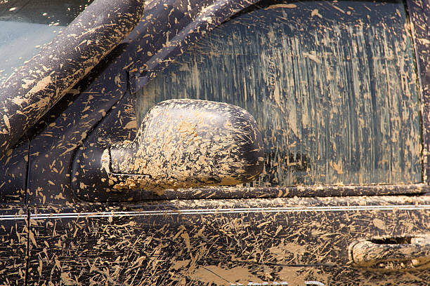 muddy caminhão - truck wheel car macro - fotografias e filmes do acervo