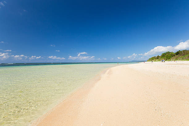 istock Beach (Ishigaki Yonehara Coast in Japan 502094348