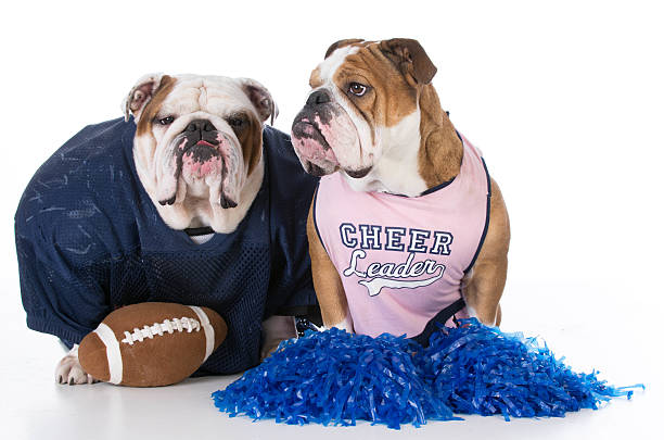 istock football player and cheerleader 502097922