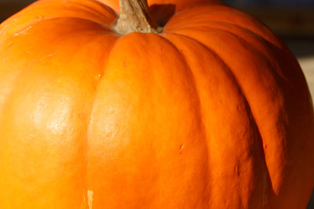 istock Aclose up of a golden pumpkin 502099126
