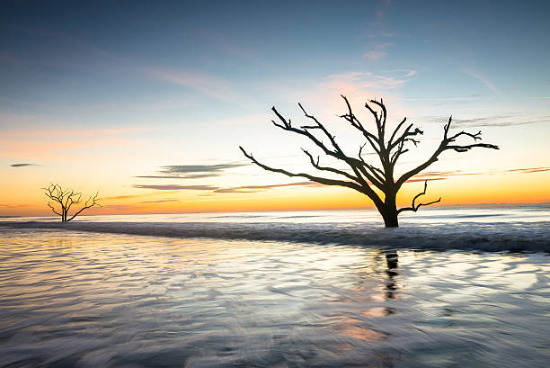 istock Sunrise at Botany Bay Beach 502102210