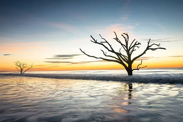 The colorful sunrise at the Boneyard of Botany Bay Beach on Edisto Island, South Carolina