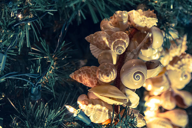 istock Christmas Beach Ornaments 502104650