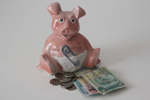 istock Money box with currency 502115589