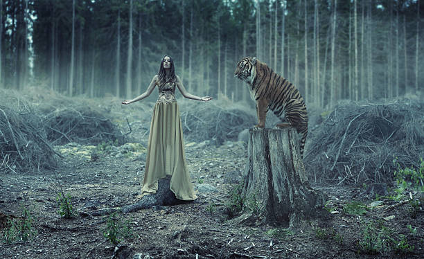 istock Young sexy traner with the tiger 502116375