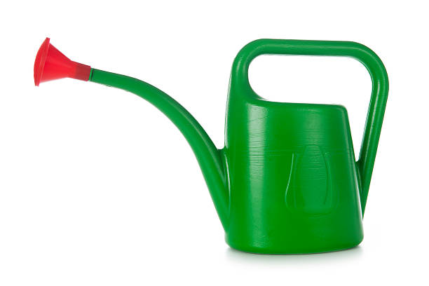 istock Green Plastic Watering Can Isolated on white 502117819