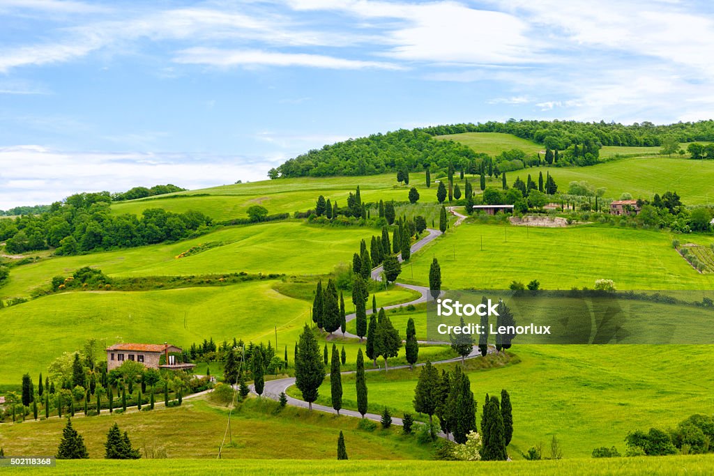 Beautiful landscape of Tuscany Beautiful landscape of Tuscany with the twisting road and cypresses 2015 Stock Photo