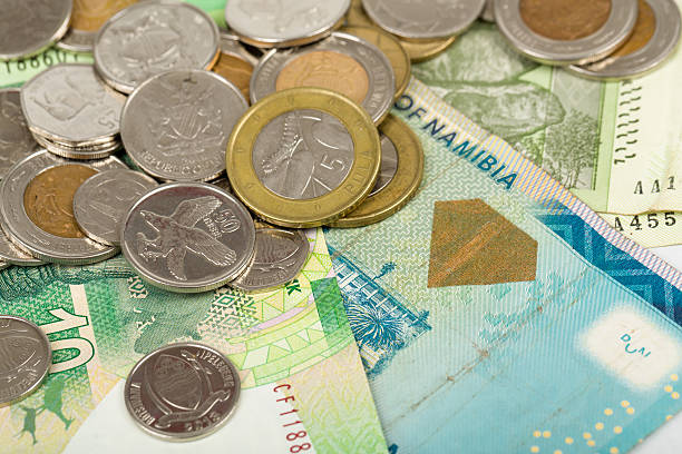 istock South african countries banknotes 502119244