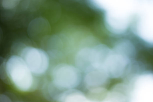 istock Abstract Green Bokeh Natural Background 502120338