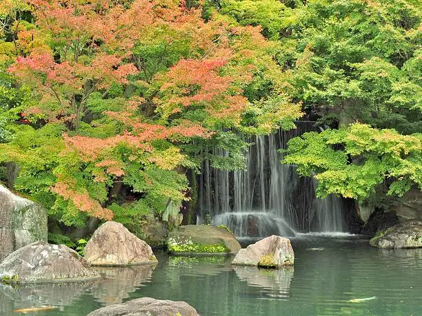 Koko-en Garden in Himeji, Hyogo Prefecture, Japan. Koko-en Garden is a Japanese garden located next to Himeji Castle.