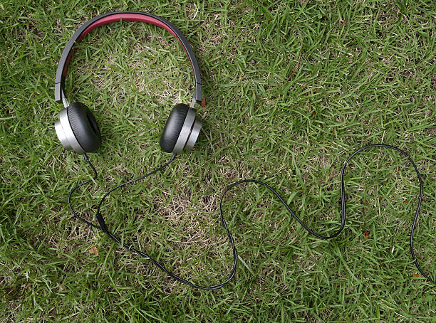 istock Headphones on green grass 502123506