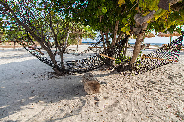 istock Indonesian Gili Trawangan Beach and Swing 502124152